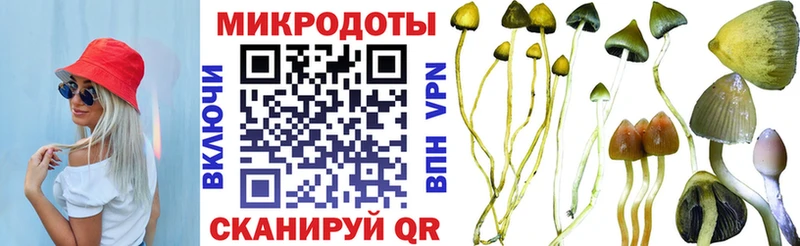 Псилоцибиновые грибы Psilocybine cubensis  Купить где  Суворов 